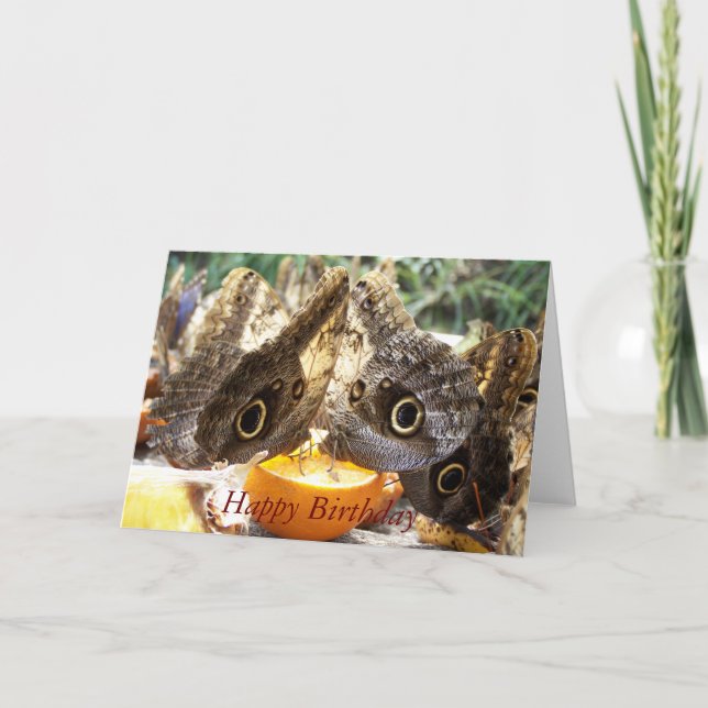 BUTTERFLIK KORT (Framsida)