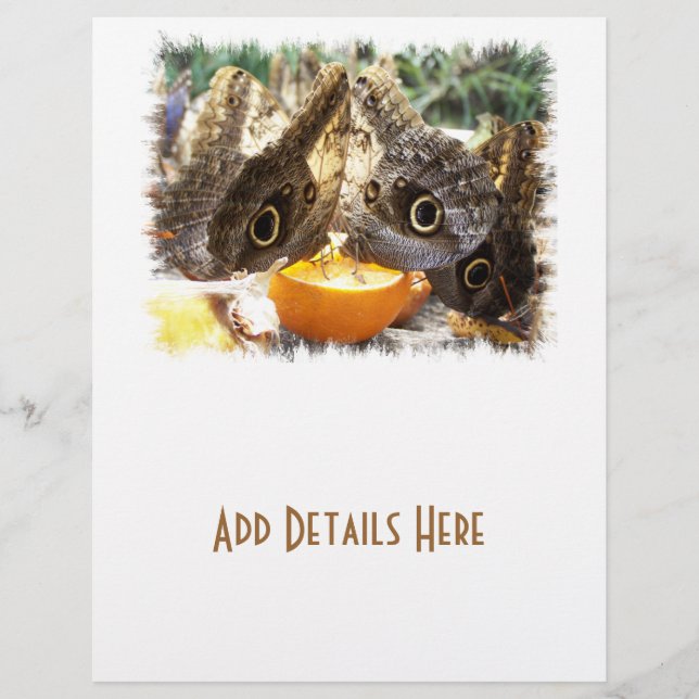 BUTTERFLIK REKLAMBLAD (Framsidan)