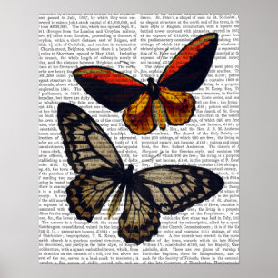 Butterflugor 3 poster
