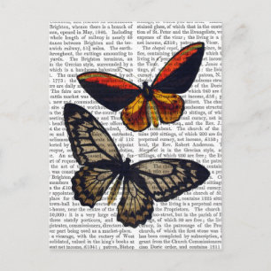 Butterflugor 3 vykort
