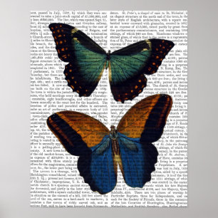 Butterflugor 5 poster
