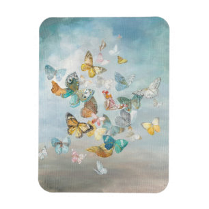 Butterflugor i molnen magnet