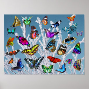 Butterflugor på grenar. Natur. Sceneri. Poster