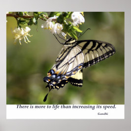 Butterfly 1 poster