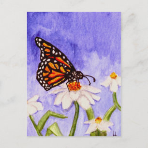Butterfly 1-vykort vykort