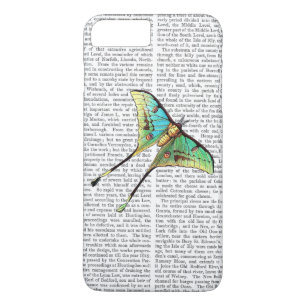 Butterfly 2