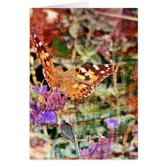 Butterfly 2 hälsningskort (Framsidan)