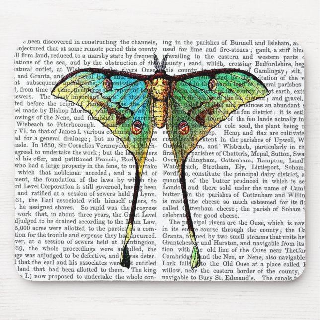 Butterfly 2 musmatta (Framsidan)