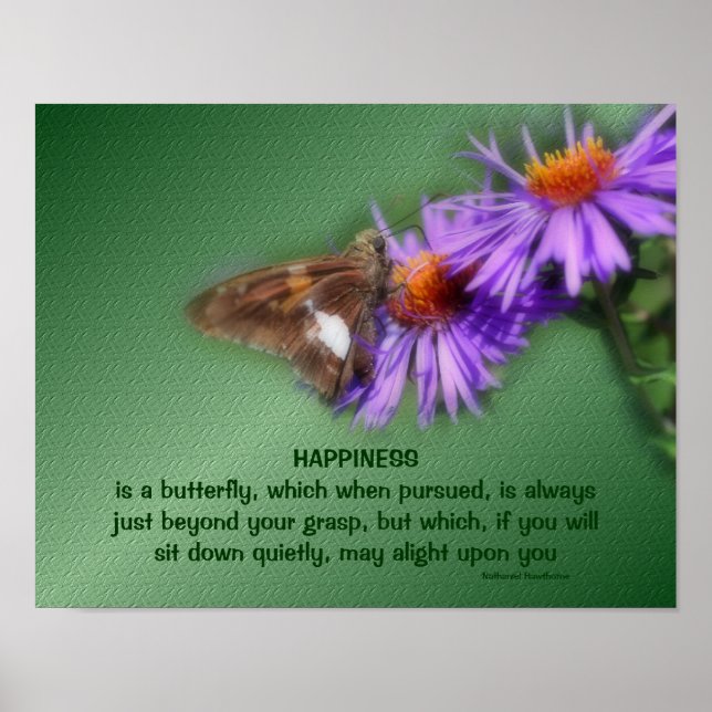 Butterfly 5 Happational Inspirational Quote Nature Poster (Framsidan)