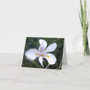 Butterfly African Iris Photo Folant Note Card Anteckningskort