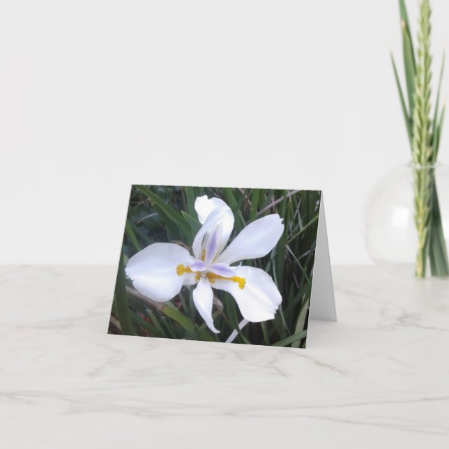 Butterfly African Iris Photo Folant Note Card Anteckningskort (Framsida)