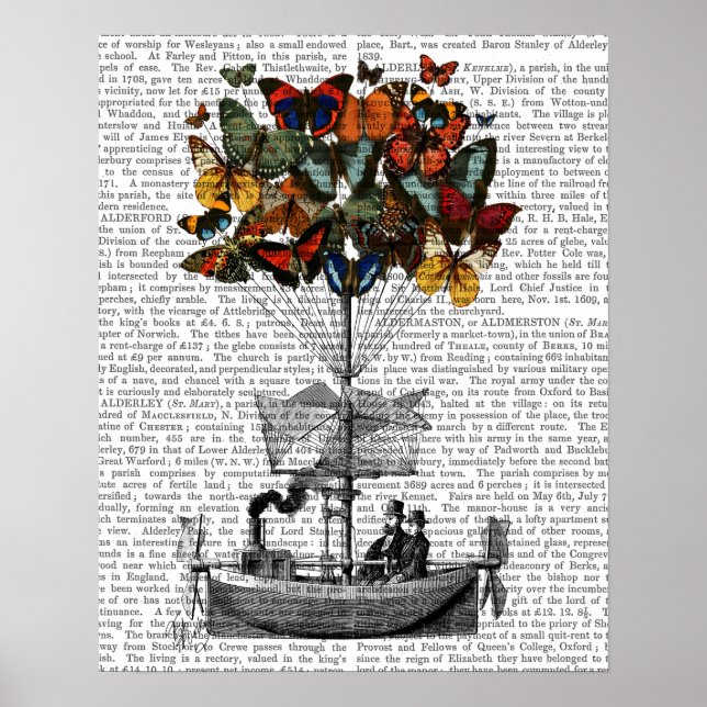 Butterfly Airship Poster (Framsidan)