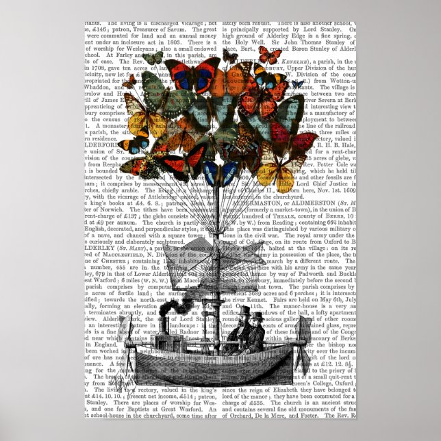 Butterfly Airship Poster (Framsidan)