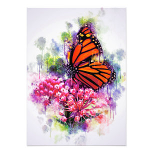 Butterfly Älskare Monarch Butterfly Fototryck