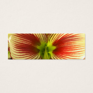 Butterfly Amaryllis Bookmark Litet Visitkort