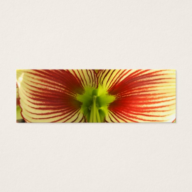 Butterfly Amaryllis Bookmark Litet Visitkort (Framsidan)