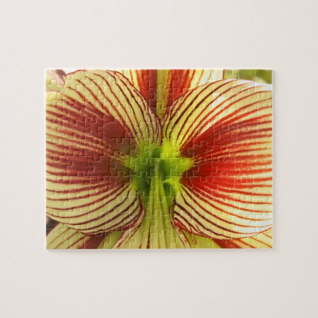 Butterfly Amaryllis Pussel (Horisontell)