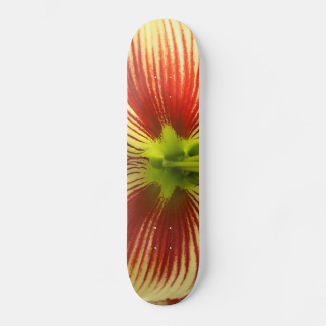 Butterfly Amaryllis Skateboard Bräda 19,5 Cm (Framsida)