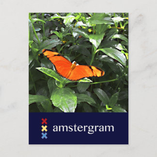 Butterfly Amsterdam Vykort