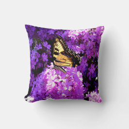 Butterfly and Phlox Kudde