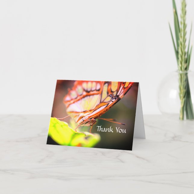 Butterfly Ansikte Nature Tack Kort (Framsida)