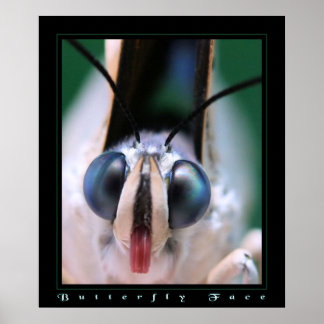 Butterfly Ansikte Poster