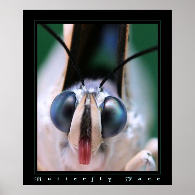 Butterfly Ansikte Poster (Framsidan)