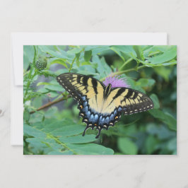 Butterfly Anteckningskort