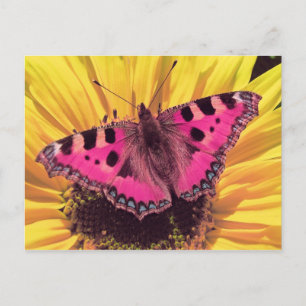 Butterfly är en flygande blomma vykort
