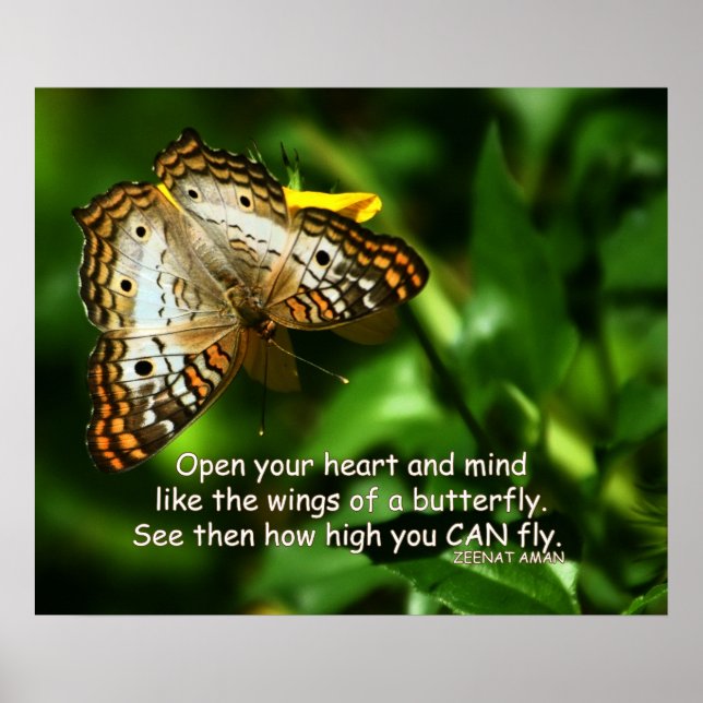 Butterfly Art Photo Poster (Framsidan)