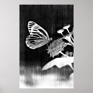 Butterfly Art   Svartvit Poster