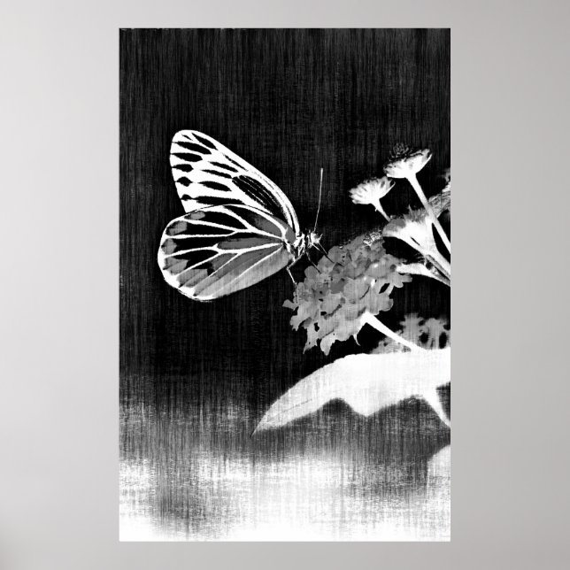 Butterfly Art | Svartvit Poster (Framsidan)