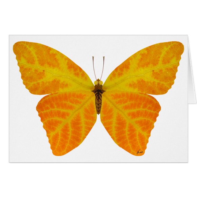 Butterfly aspen Löv 3 Hälsningskort (Framsidan Horizontal)