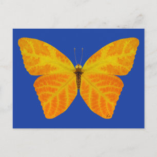 Butterfly aspen Löv 3 Vykort