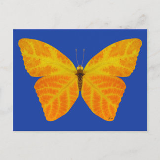 Butterfly aspen Löv 3 Vykort