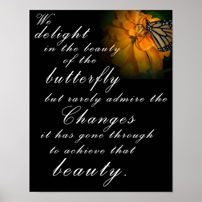 Butterfly Beauty Poster (Framsidan)