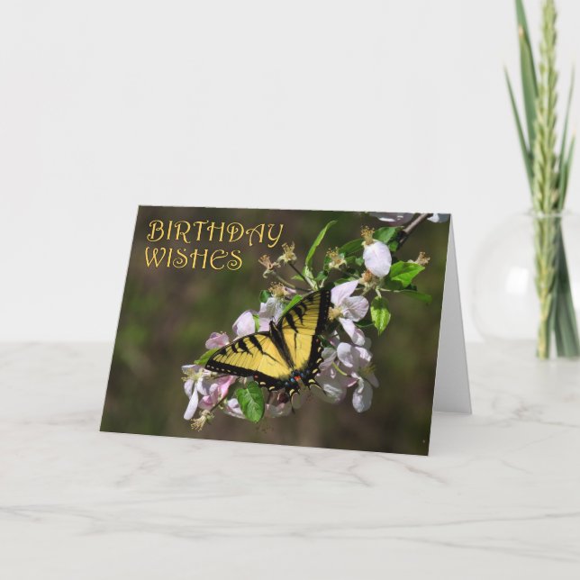 Butterfly Birthday 1 Kort (Framsida)