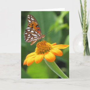 Butterfly Birthday Kort
