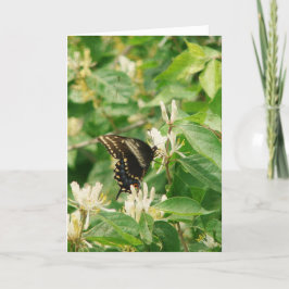 Butterfly Birthday Kort