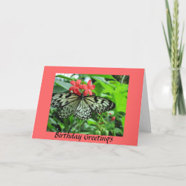 Butterfly Birthday Kort