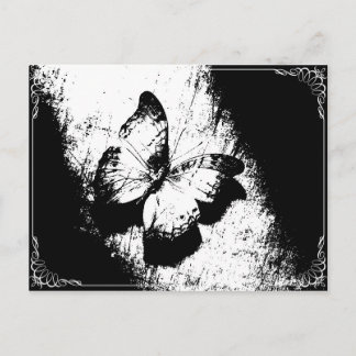 Butterfly Black and White Vykort