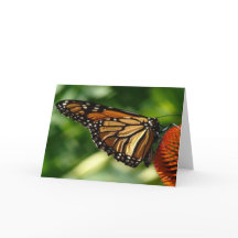 Butterfly Blank-kort