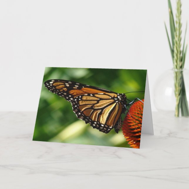 Butterfly Blank-kort Kort (Framsida)