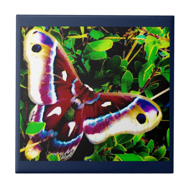 Butterfly Blues Tiles Kakelplatta (Framsidan)