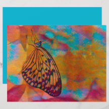 Butterfly Bohemian Blue Orange Hippie Decoupage