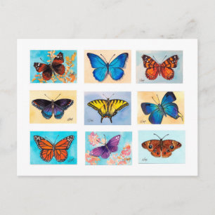 Butterfly Bonanza vykort