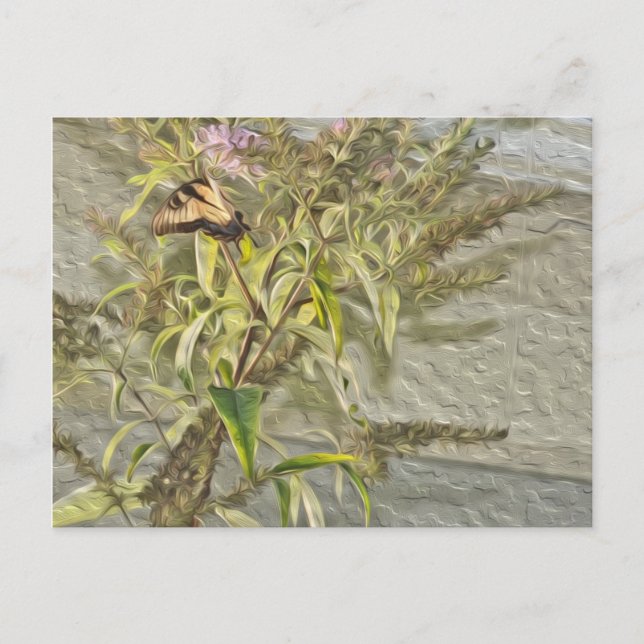 Butterfly Bush 1 Vykort (Framsida)