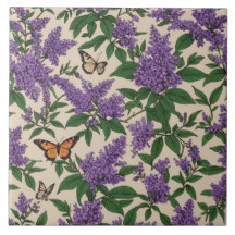 Butterfly bush lila blommor och butterflies