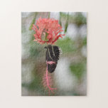 Butterfly Butterflies Natature Photography Garden Pussel<br><div class="desc">Pussel har ett originalfoto av en söt svart och koral-färgad blomma mot bakgrund av en lush grönt sommarträdgård. Det finns också många fler illustrerade och fotopussel från den här butiken. Om du inte ser pusslet du är tittar för,  kontakta Rebecca för att få något designat bara för dig!</div>