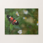 Butterfly Butterflies Natature Photography Garden Pussel<br><div class="desc">Pussel har ett originalfoto av en söt svart och orange fjäril mot bakgrund av daisy och en lush grönt sommarträdgård. Det finns också många fler illustrerade och fotopussel från den här butiken. Om du inte ser pusslet du är tittar för, kontakta Rebecca för att få något designat bara för dig!...</div>